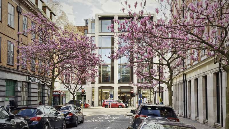 A London street lined with cherry blossom in spring.
