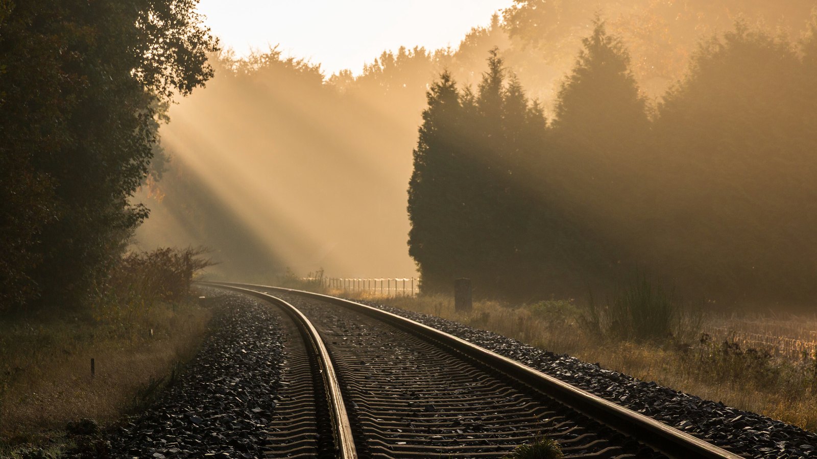 A single railway track curving away through open countryside near Dülmen, with low sun breaking through mist above the trees.
