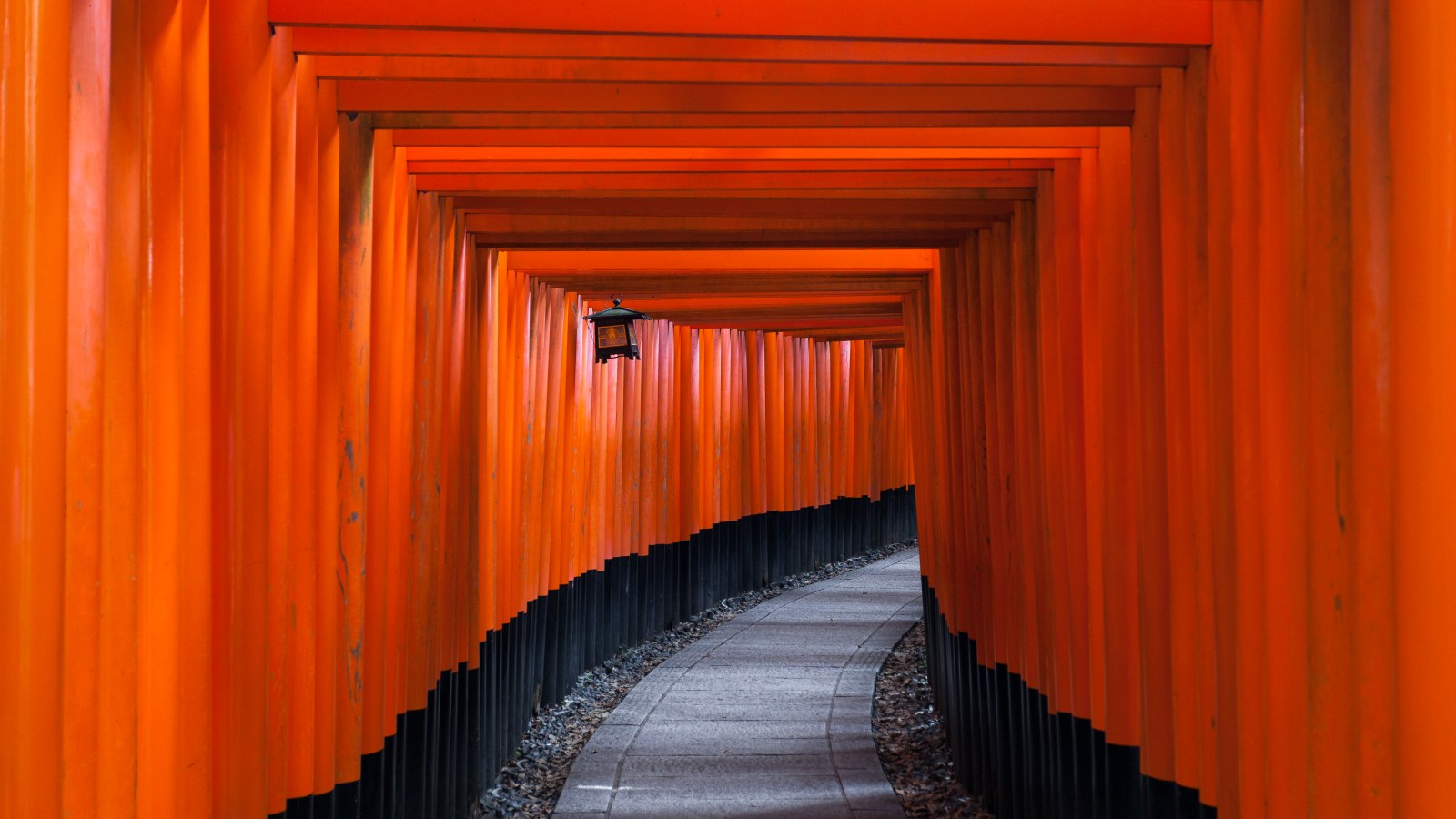 A paved footpath running through a continuous tunnel of closely spaced vermilion torii gates with black bases at Fushimi Inari-taisha in Kyoto, the gates receding into the distance.