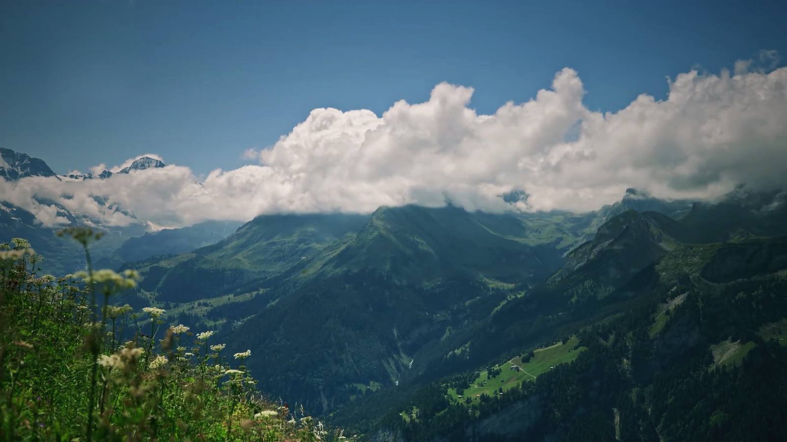 An Alpine valley in Switzerland under summer cloud, seen from a mountain meadow.