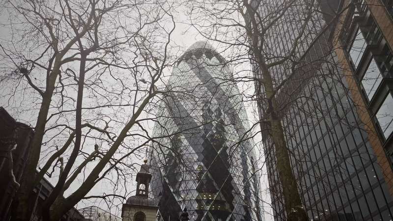 The Gherkin rising behind bare winter trees in the City of London.