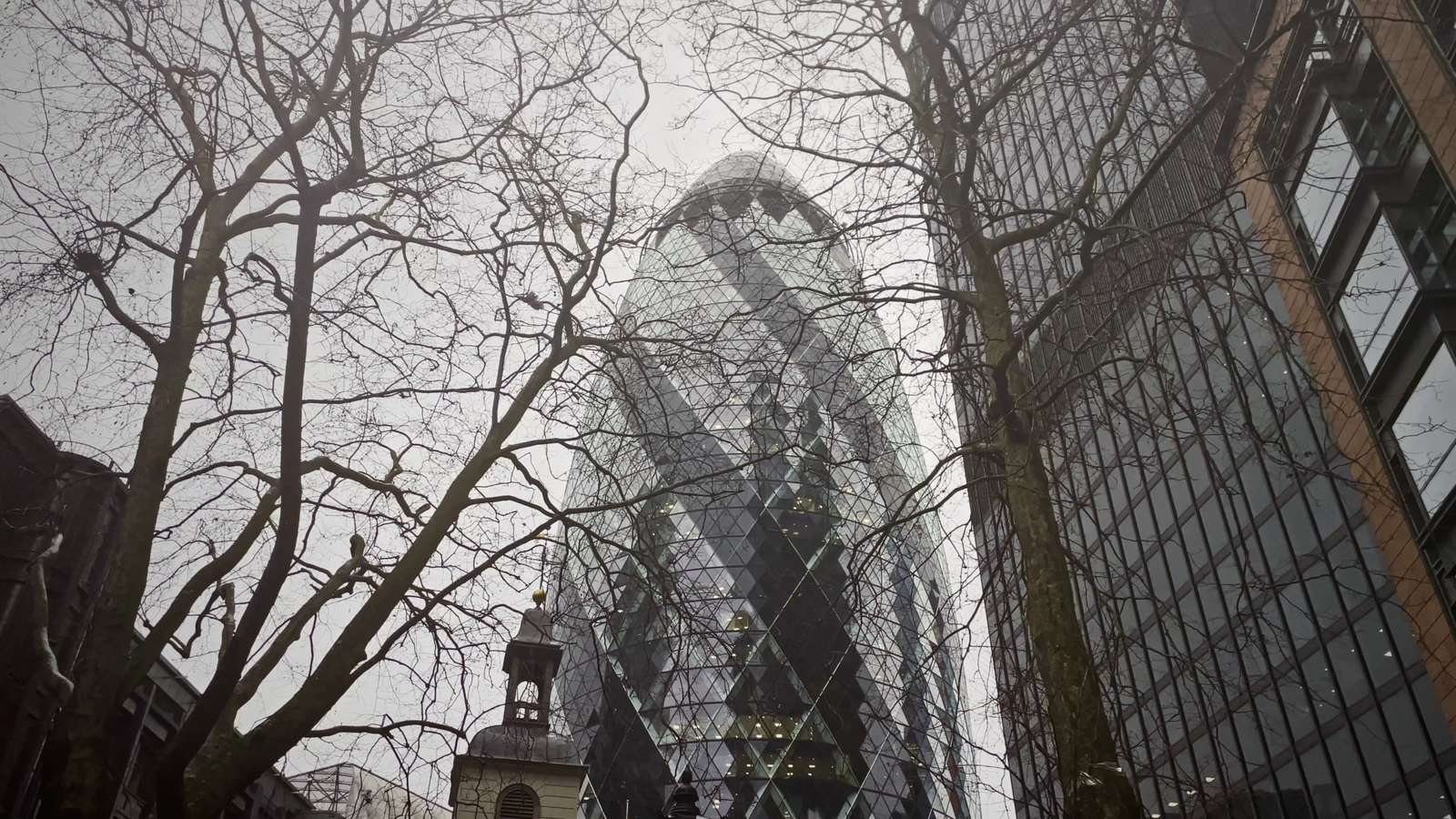 The Gherkin rising behind bare winter trees in the City of London.