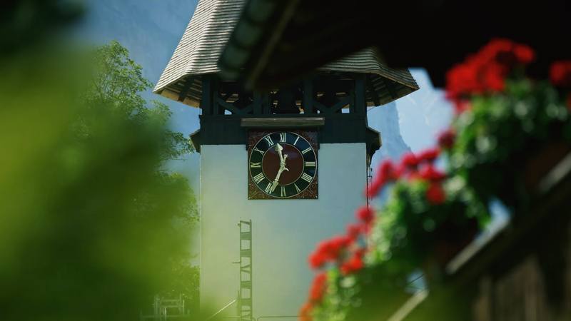 A Swiss clock tower framed by red geraniums in summer.
