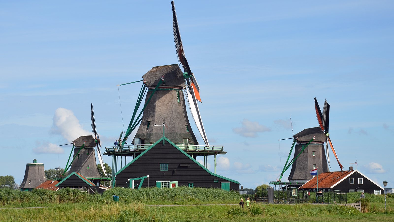 A row of wooden windmills with green painted frames, and a dark timber barn, standing on flat grassland at Zaanse Schans under a partly clouded sky.